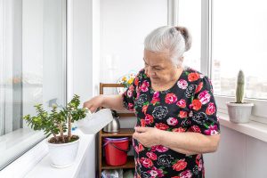 Femme âgée à la maison