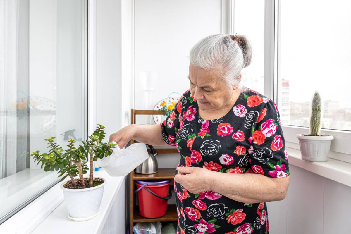 Dame âgée en train d'arroser une plante