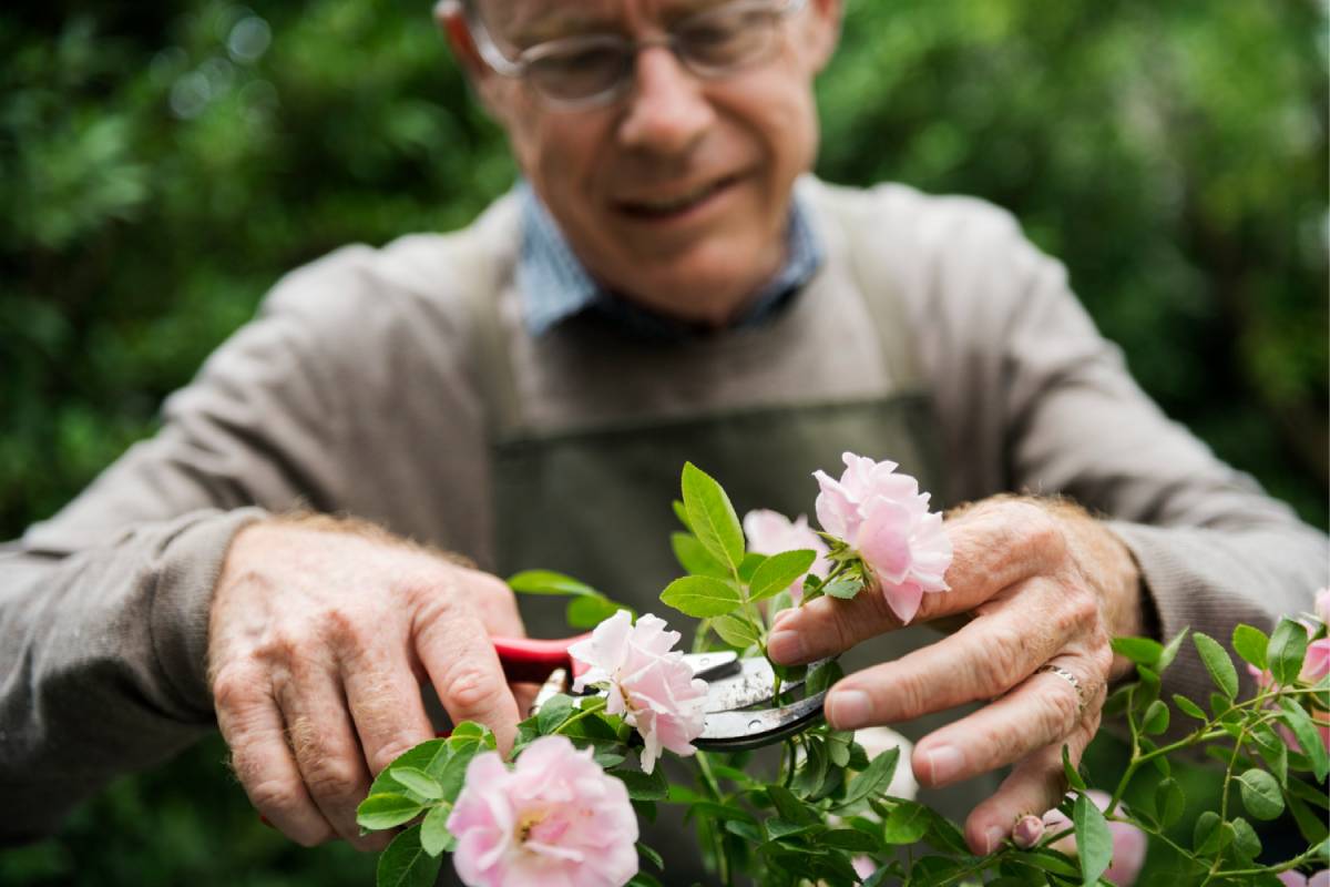 Senior en train de jardiner